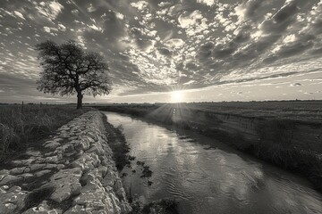 A serene monochromatic image of a countryside landscape featuring a lone tree by a riverbank under a dramatic sky with sun rays breaking through the clouds