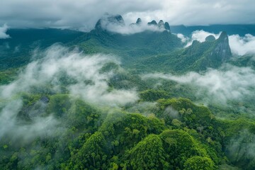 Misty Mountain Panorama from Above