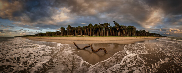 Beautiful panoramic Sunset at the Beach Weststrand on Fischland/ Darss in Germany