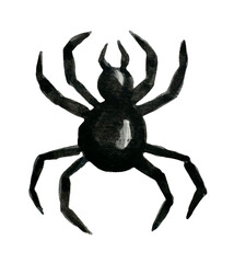 Watercolor spider, halloween holiday decoration design element