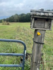 A birdhouse on a pole