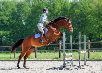 Showjumping XVII