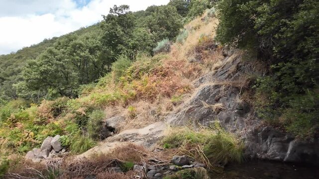 Paneo en el monte al pie de una cascada o chorro de agua natural