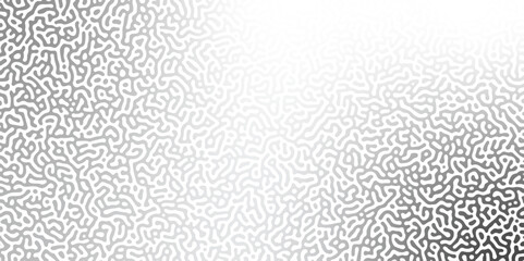 Abstract Reaction-diffusion or Turing pattern natural texture in black and white gradient colour scheme. Linear design with biological shapes. Organic lines in memphis. abstract turing wallpaper.	