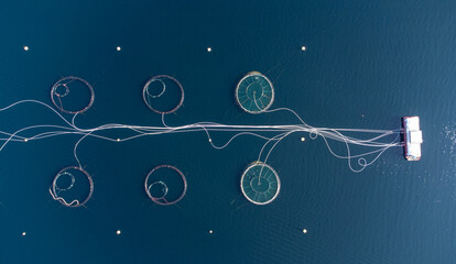 Aerial shot directly above a circular shaped fish farm