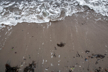 beach in the morning