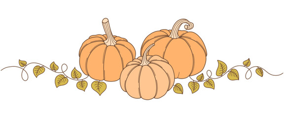 pumpkin with leaves vector illustration