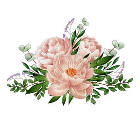Composition of peonies, with eucalyptus And cotoneaster, cocculus, immortelle , watercolor illustration on white backgroun:. Delicate flowers for wedding decoration, holidays, birthdays 
