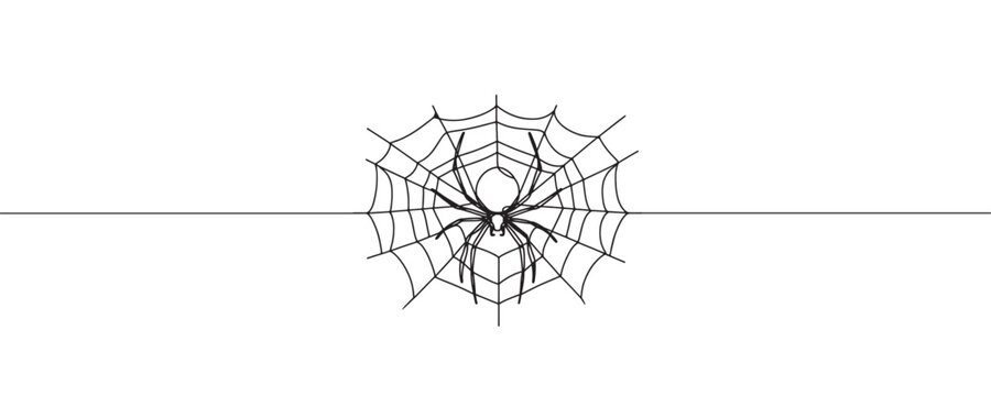 spider weaves web one line drawing. Continuous line drawing on halloween theme. vector illustration