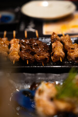 Yakitori(焼き鳥)