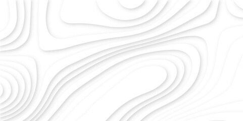 Abstract modern 3d Paper cut white background .white waves background ,paper art style, flyers posters prints .geometric background overlap layer.	