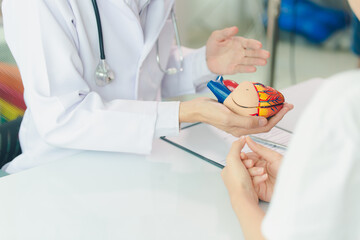 Cardiologists consult and treat patients by showing them an anatomical model of the human heart. medical concept