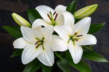 Fototapeta premium Lilies, with soft petals, velvety texture invite touch and admiration