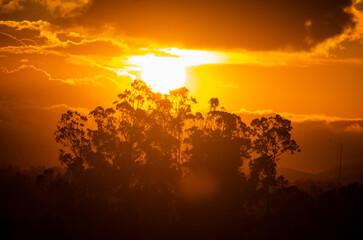 Atardecer