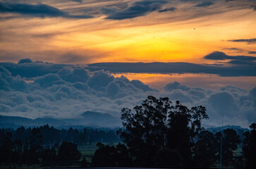 Nubes