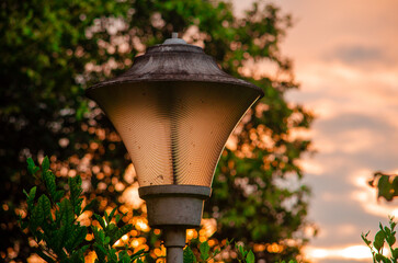 Farol