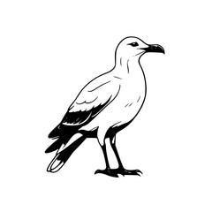 Obraz premium silhouette of a bird