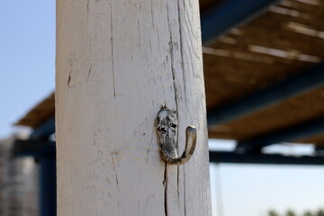 Texture of wood and wood products. Still life with an object on a texture background.