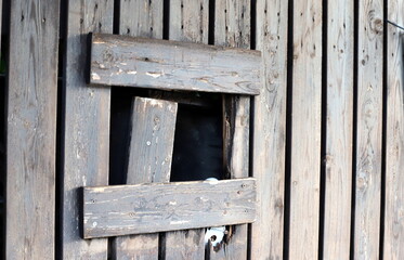 Texture of wood and wood products. Still life with an object on a texture background.