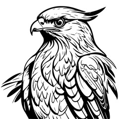 Obraz premium eagle vector illustration