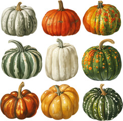 set of pumpkin illustration isolated on transparent background