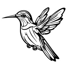 Fototapeta premium bird on a branch