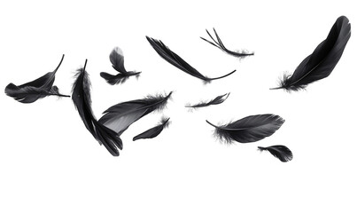 A flock of black birds are flying in the air, with their wings spread out