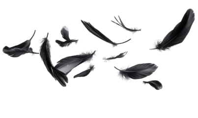 A flock of black birds are flying in the air, with their wings spread out