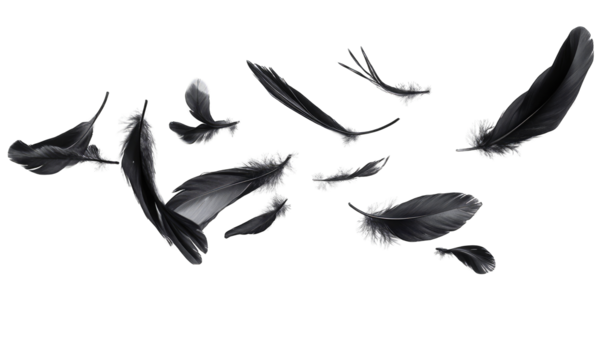 A flock of black birds are flying in the air, with their wings spread out