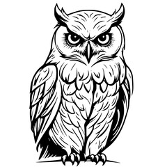 Fototapeta premium owl sitting on branch