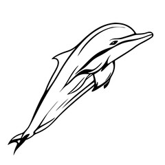 Obraz premium silhouette of a dolphin