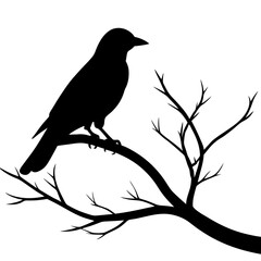 Bird Silhouette at Sunset Vector Art with Gradient Sky