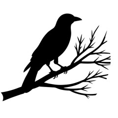 Bird Silhouette at Sunset Vector Art with Gradient Sky