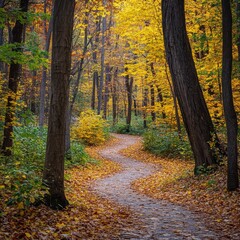 Obraz premium Colorful autumn pathway winding through a vibrant forest with golden leaves and soft light