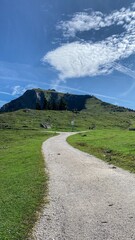 Schafberg Mountain View III