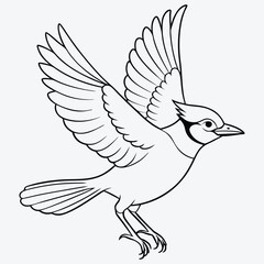 
Elegant Blue Jay Bird in Flight  Detailed Line Art Drawing