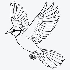 Elegant Blue Jay Bird in Flight - Detailed Line Art Illustration