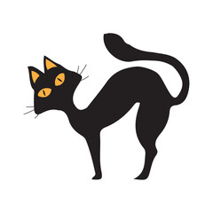 Black cat