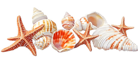 Featuring seashells and starfish on a white background, this watercolor artwork features