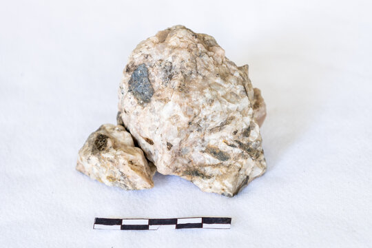 Plagioclase Feldspar and biotite pegmatite on a white background with a 5cm scale