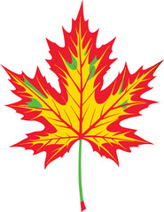 autumn maple leaf