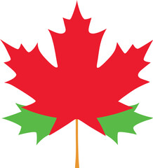 red maple leaf isolated