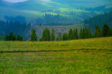 Karajun Grassland, an attractive tourist attraction integrating grasslands, forests, canyons,...