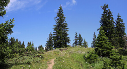 Obraz premium Small Bench On A Hiking Trail