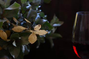 Glass of red wine and autumn leaves