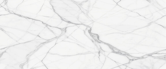 Obraz premium Luxury White Gray Marble texture background vector. Panoramic Marbling texture design for Banner, invitation, wallpaper, headers, website, print ads, packaging design template.italian marble