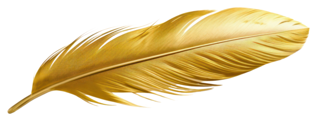 PNG Feather yellow gold leaf.
