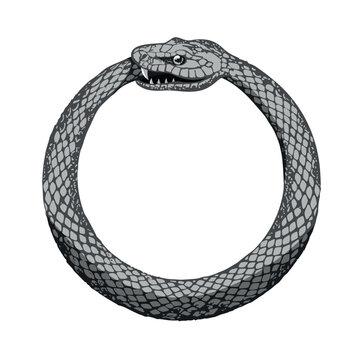 Ouroboros. Snake eats tail, mythology eternity esoteric mystic symbol abstract serpent dragon circle round ring infinity cycle spiritual magic concept ingenious vector illustration