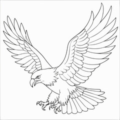 Soaring Eagle line art