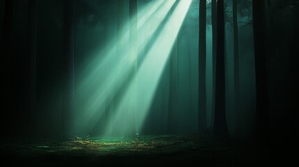 A single ray of sunlight pierces through a dense, dark forest, creating a dramatic contrast between light and shadow. The beams illuminate the forest floor, showcasing the textures of the trees and th